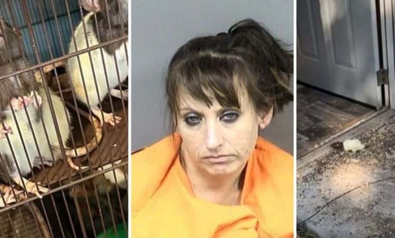 A woman was Arrested after A child Found in a House Filled with 300 Rodents, Mistreated Pets, and Feces (Techno Trenz)