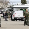 California Sheriff: Multiple Murders Could be Gang or Cartel Related