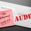 IRS Audit Update: Rich Tax Evaders Crack Down