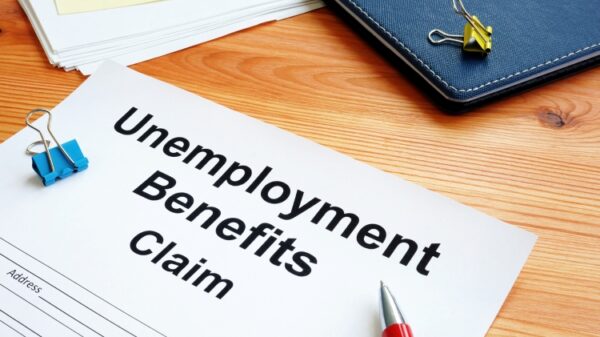 The federal-state unemployment insurance (UI) introduced by The United States government provides people who have lost their jobs with a temporary financial boost.