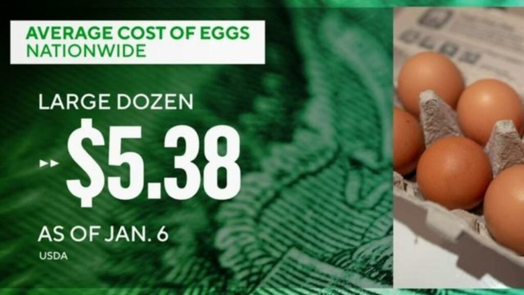 PRICE WATCH! Reasons Why Egg Prices Tripled Orange and Blue Press