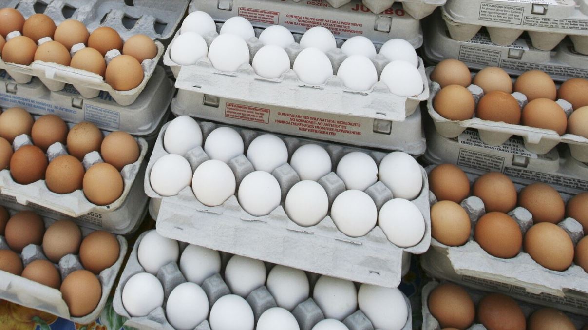 PRICE WATCH! Reasons Why Egg Prices Tripled