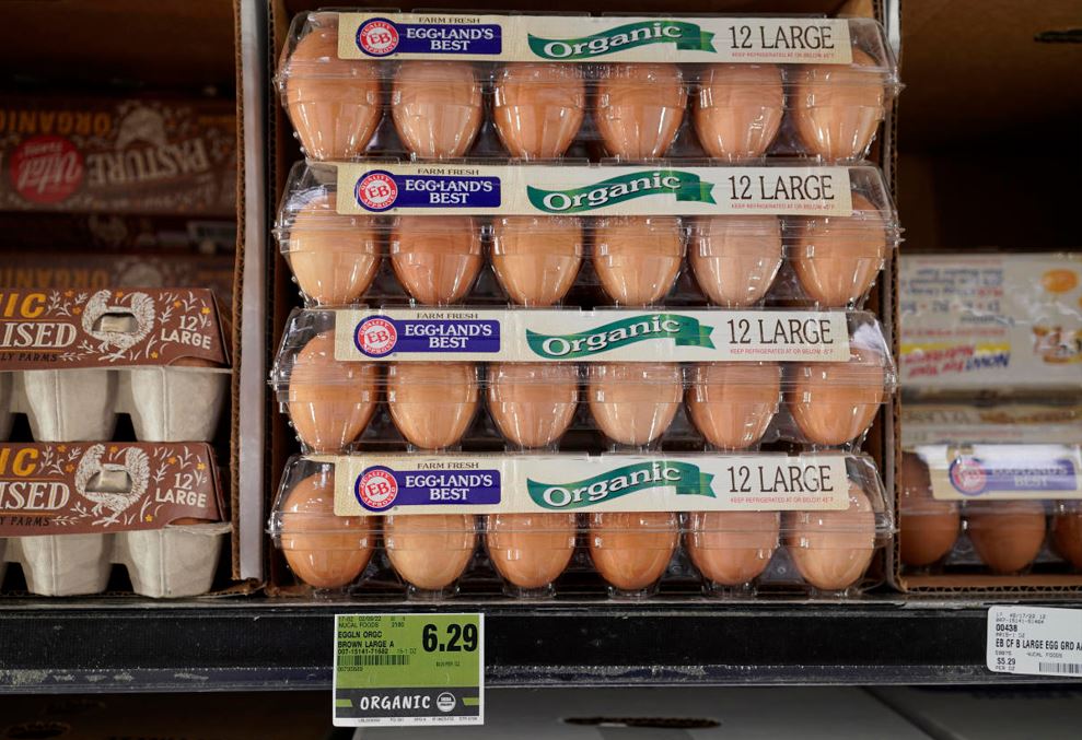 PRICE WATCH! Reasons Why Egg Prices Tripled