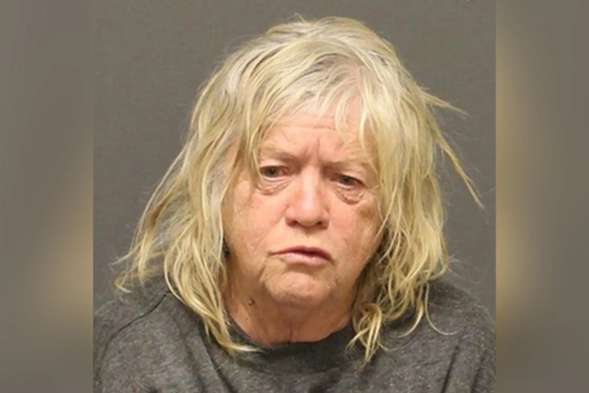 Urine, Feces, and Trash, Found In Arizona Woman's Home Leading Her Faced With 43 Counts Of Animal Cruelty, Police Say (New York Post)