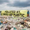 Several States eliminate single-use plastic bags in an effort to curb pollution and adopt more sustainable practices.