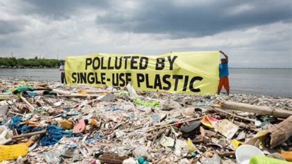 Several States eliminate single-use plastic bags in an effort to curb pollution and adopt more sustainable practices.