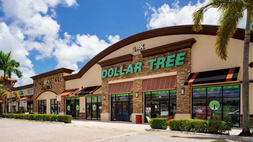 The Dollar Tree Must-have Items to Add To Your Shopping Cart Now ...