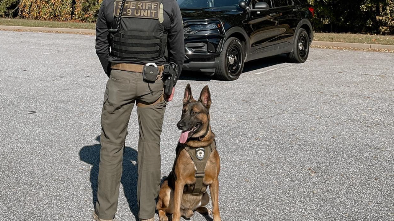 A man was fatally shot by South Carolina deputies after he stabbed a K-9 police dog during a standoff, however, the dog is expected to recover from the attack.